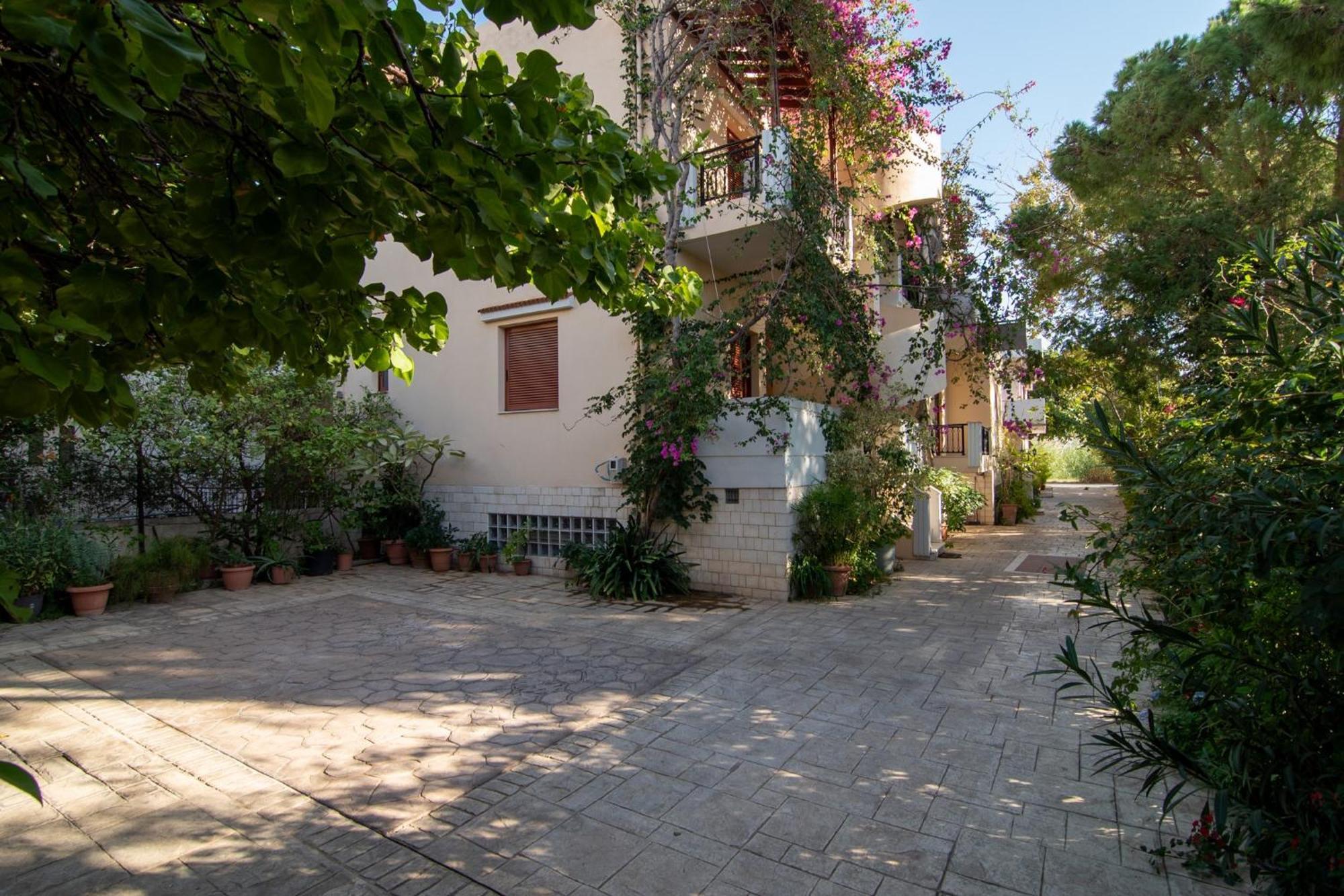 פליאוחורה Virginia Studios מראה חיצוני תמונה