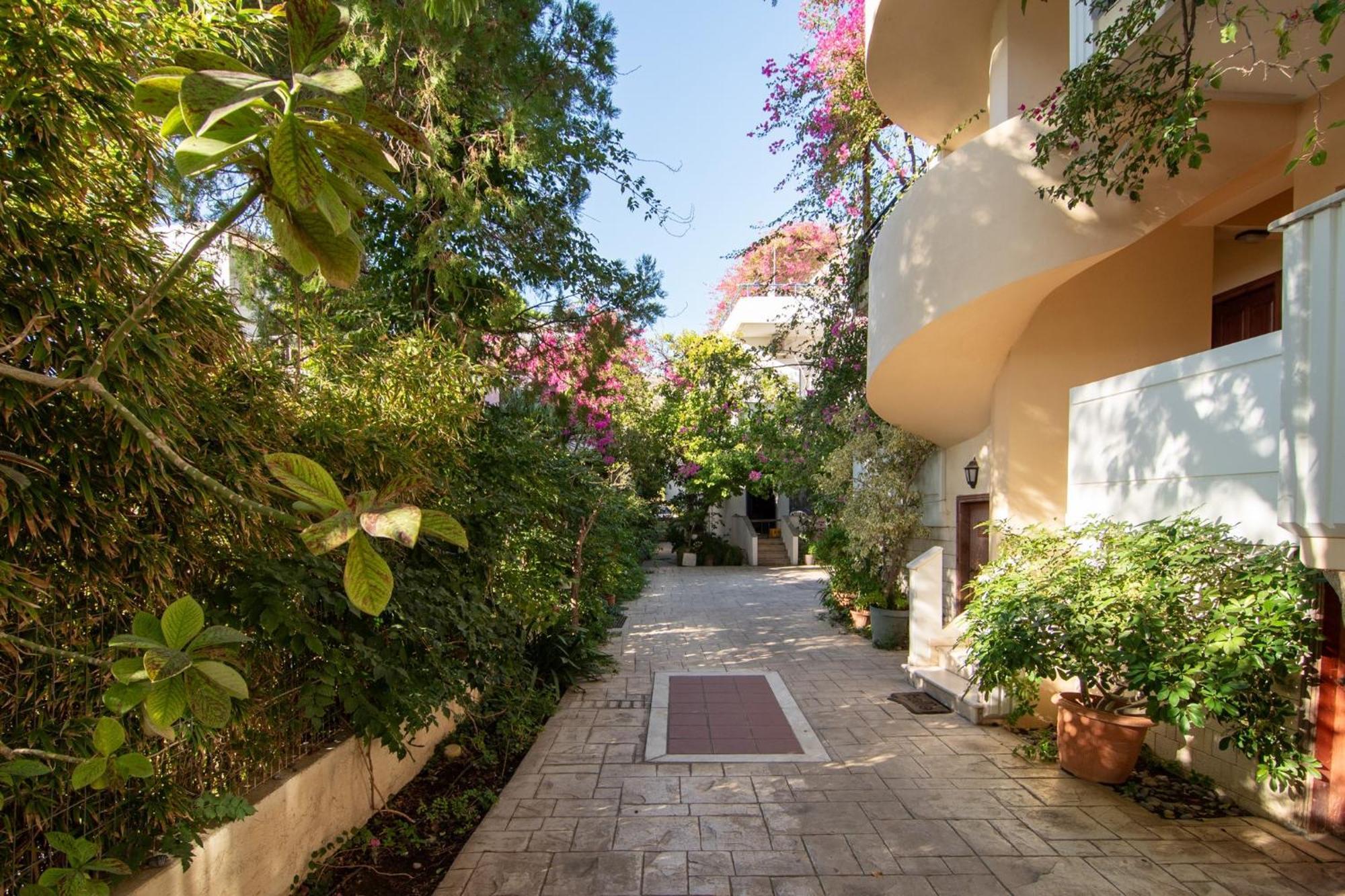 פליאוחורה Virginia Studios מראה חיצוני תמונה